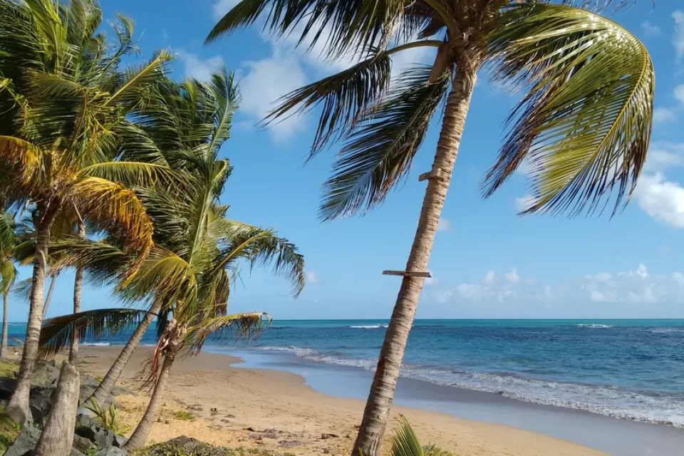 Tropical Beach